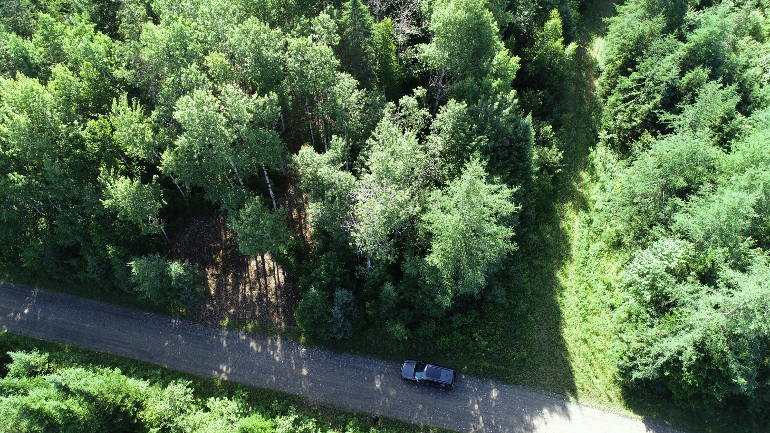 Lot 39 Smith (haney) Road Cary Plt ME 04471