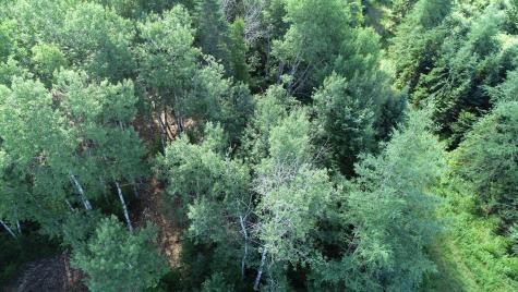 Lot 39 Smith (haney) Road Cary Plt ME 04471