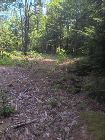 Lot #20 Peaceful Point Road Waltham ME 04605