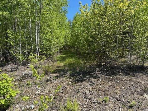 Lot 4 Mt. Jefferson Heights Lee ME 04455