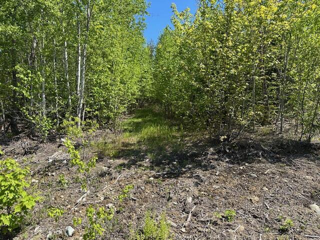 Lot 4 Mt. Jefferson Heights Lee ME 04455