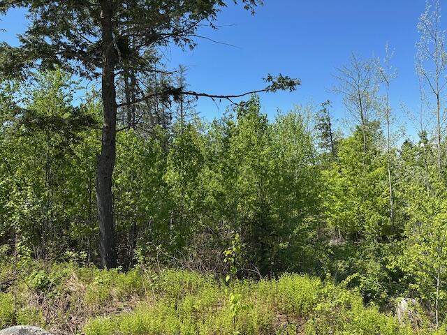 Lot 4 Mt. Jefferson Heights Lee ME 04455