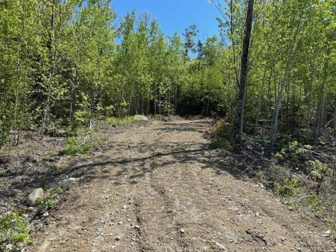 Lot 4 Mt. Jefferson Heights Lee ME 04455