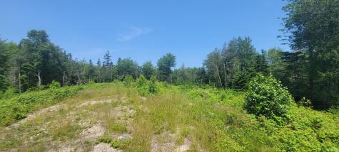 Lot 84 Duck Cove Road Roque Bluffs ME 04654
