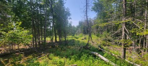 Lot 84 Duck Cove Road Roque Bluffs ME 04654