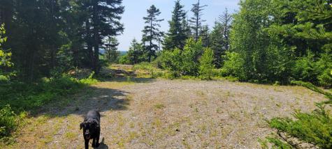 Lot 84 Duck Cove Road Roque Bluffs ME 04654