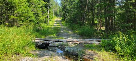 Lot 84 Duck Cove Road Roque Bluffs ME 04654