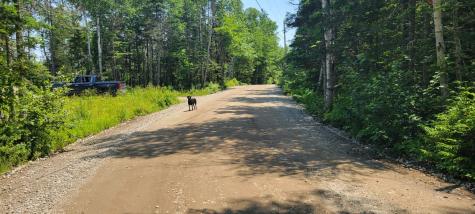 Lot 84 Duck Cove Road Roque Bluffs ME 04654
