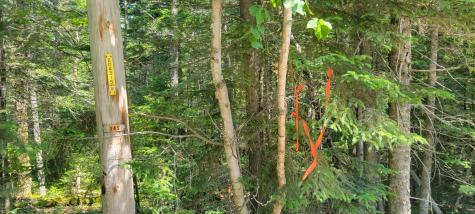 Lot 84 Duck Cove Road Roque Bluffs ME 04654