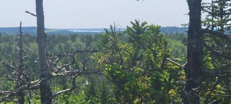 Lot 84 Duck Cove Road Roque Bluffs ME 04654