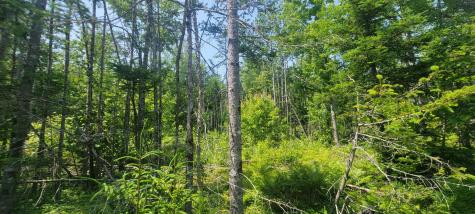 Lot 84 Duck Cove Road Roque Bluffs ME 04654