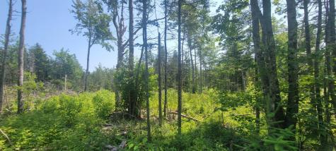 Lot 84 Duck Cove Road Roque Bluffs ME 04654