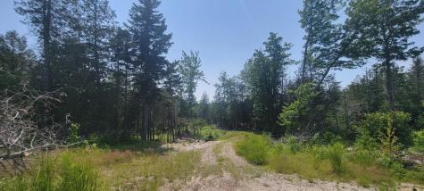 Lot 84 Duck Cove Road Roque Bluffs ME 04654