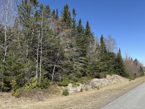 Lot 7-10 Us Route 1 Robbinston ME 04671