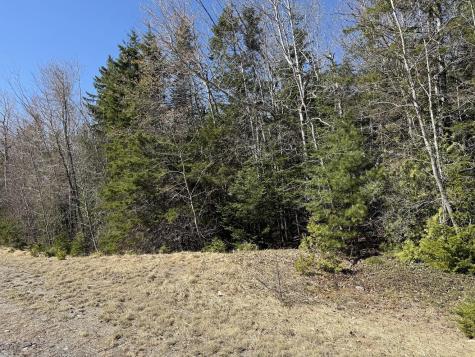 Lot 7-10 Us Route 1 Robbinston ME 04671