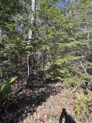 Lot 7-10 Us Route 1 Robbinston ME 04671