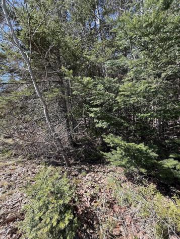 Lot 7-10 Us Route 1 Robbinston ME 04671