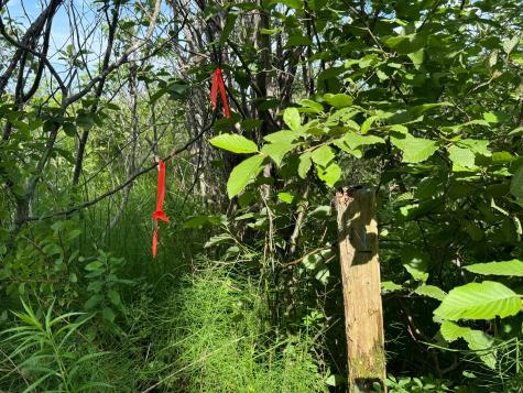 Lot #37 Hewitt Road Dover-foxcroft ME 04426