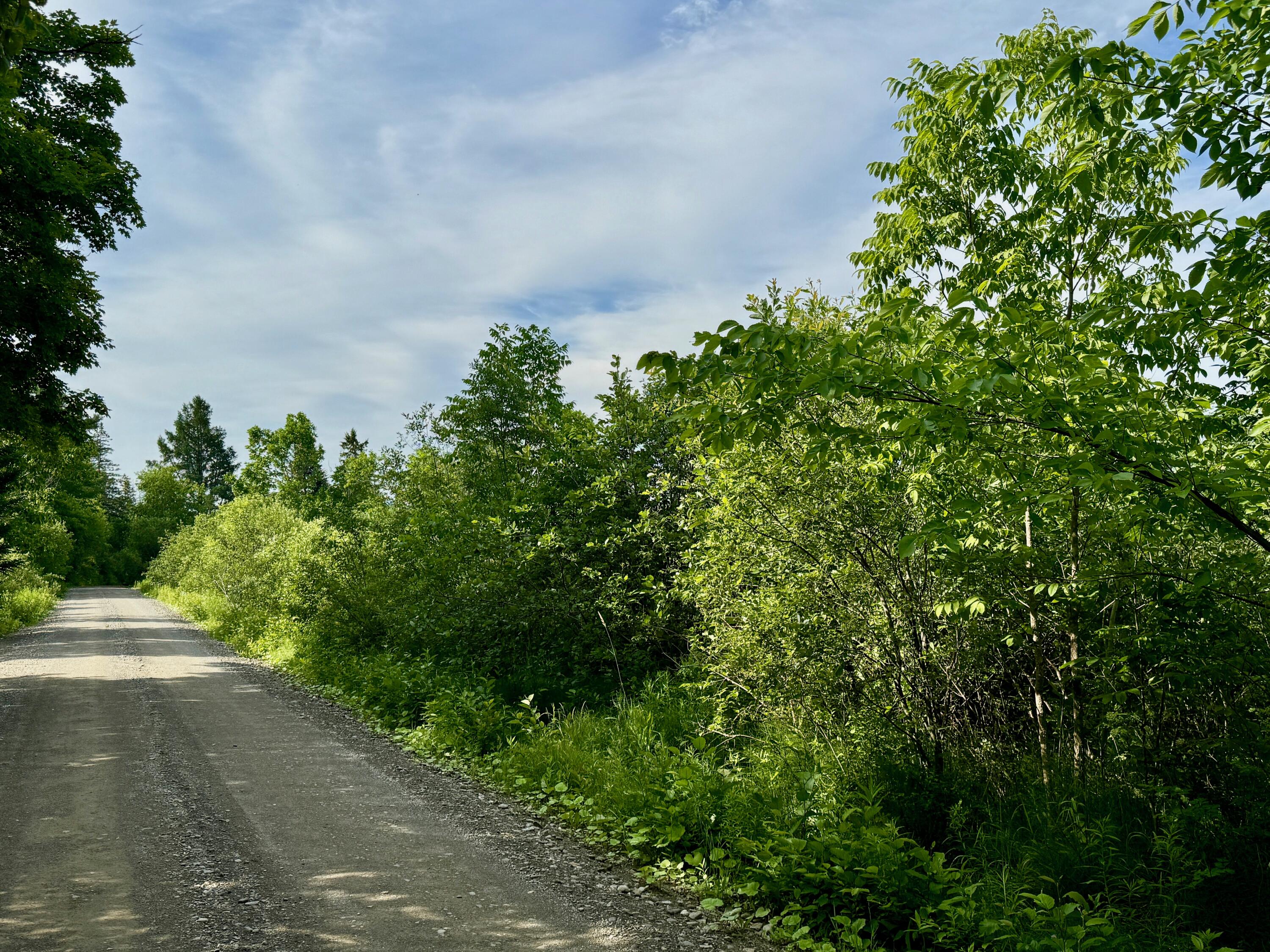 Lot #37 Hewitt Road Dover-foxcroft ME 04426