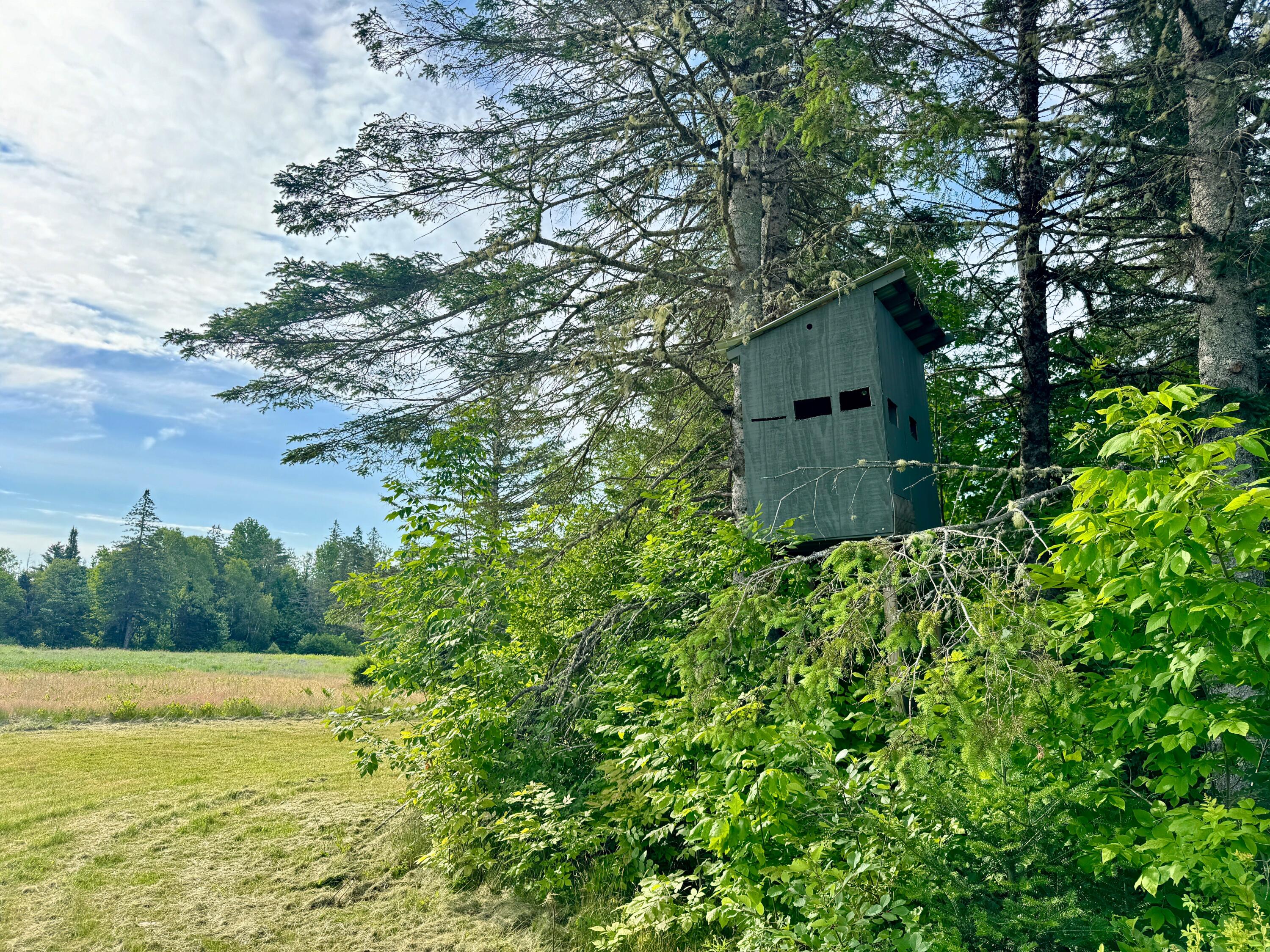 Lot #37 Hewitt Road Dover-foxcroft ME 04426