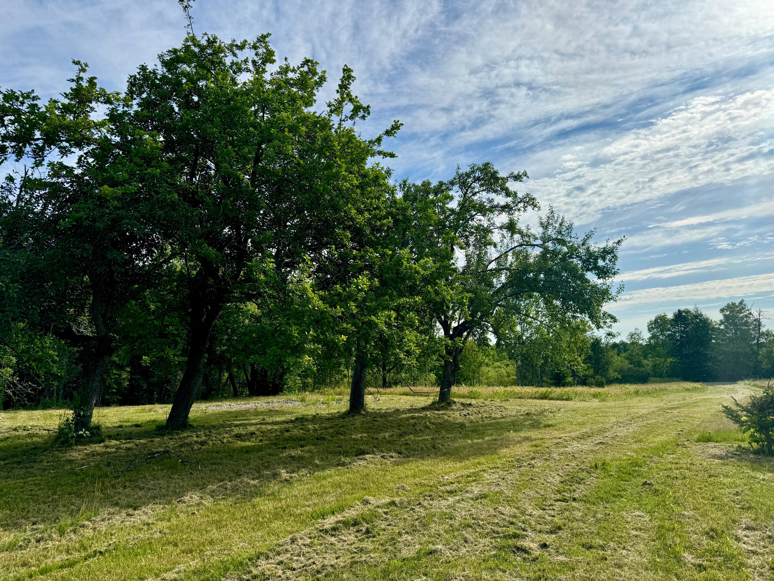 Lot #37 Hewitt Road Dover-foxcroft ME 04426