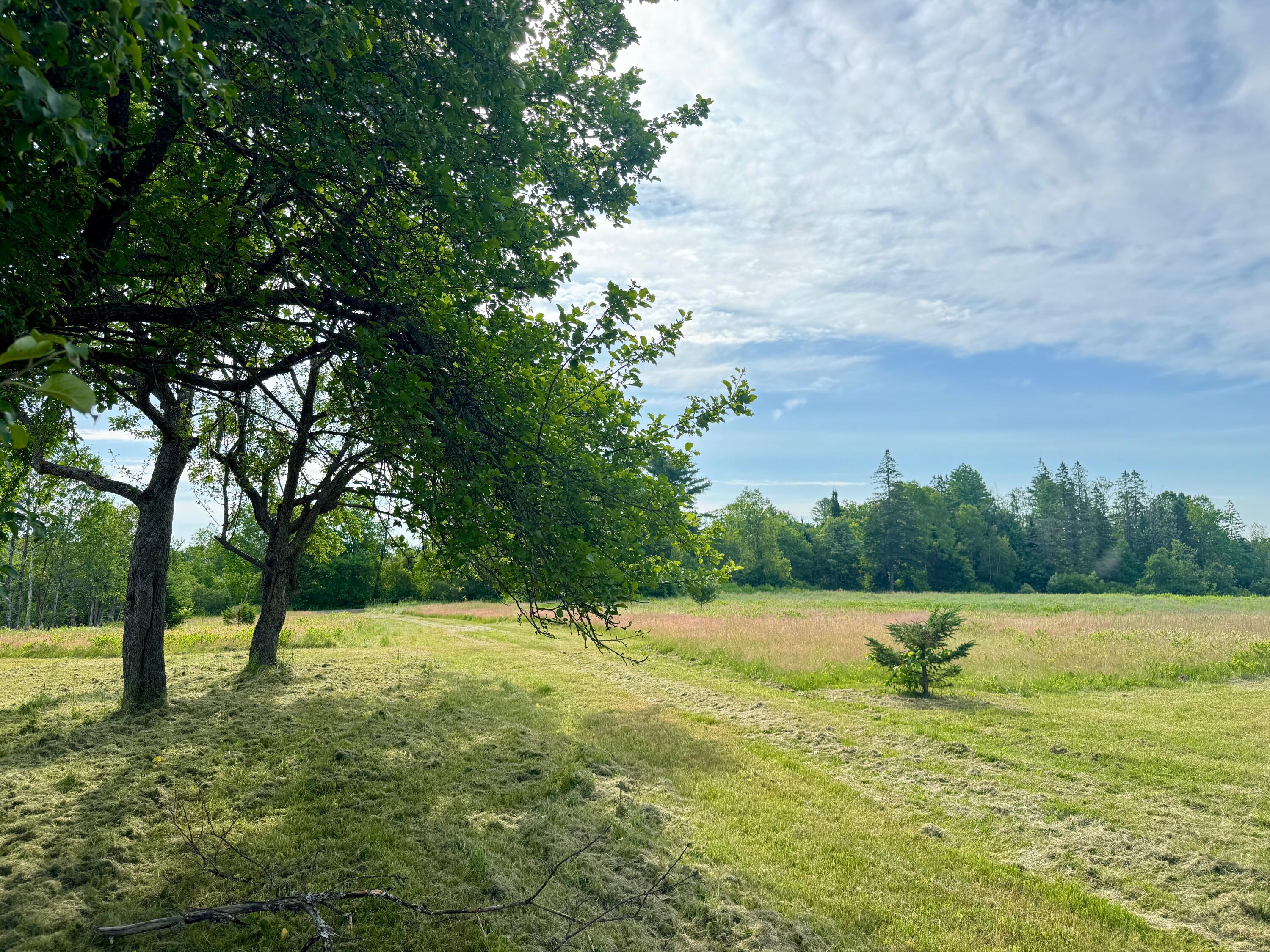 Lot #37 Hewitt Road Dover-foxcroft ME 04426