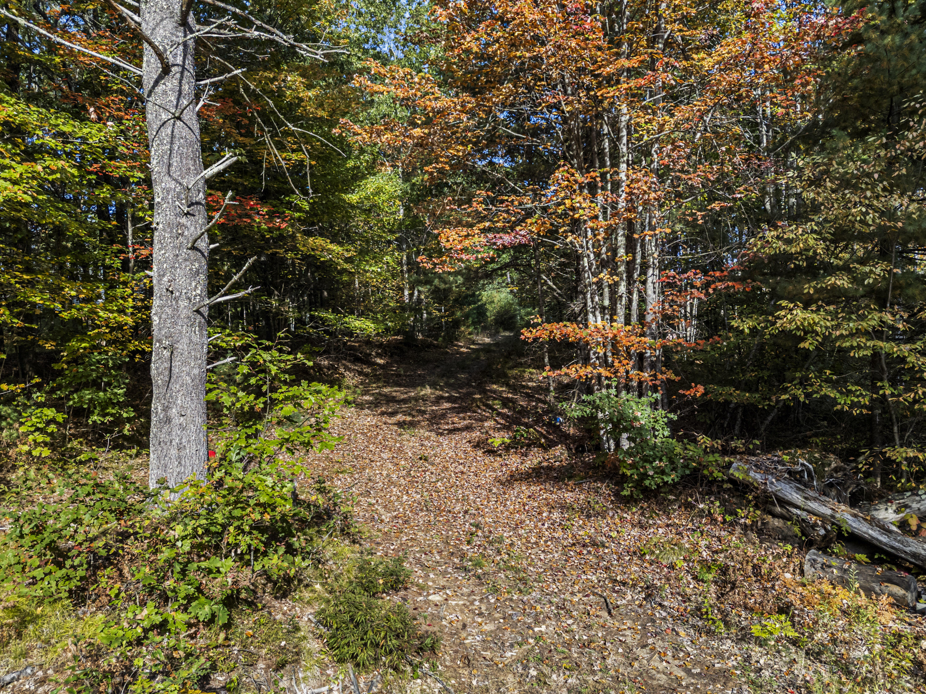 86 Moose Bog Lane Wells ME 04090