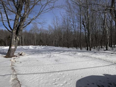 322 Surry Road Orland ME 04472