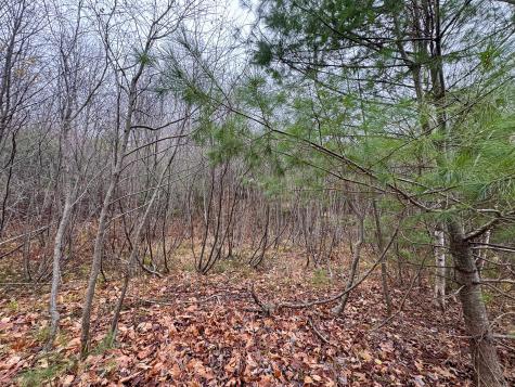 68 South Strong Road Strong ME 04983