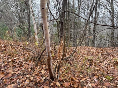 68 South Strong Road Strong ME 04983