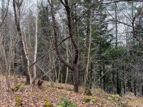 68 South Strong Road Strong ME 04983