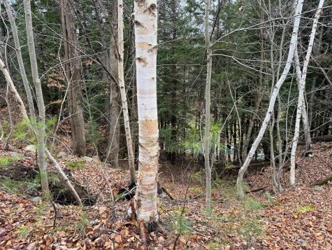 68 South Strong Road Strong ME 04983