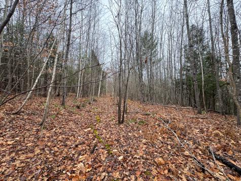 68 South Strong Road Strong ME 04983