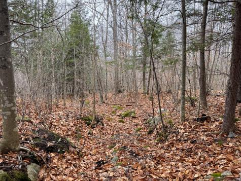 68 South Strong Road Strong ME 04983