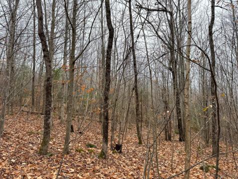 68 South Strong Road Strong ME 04983