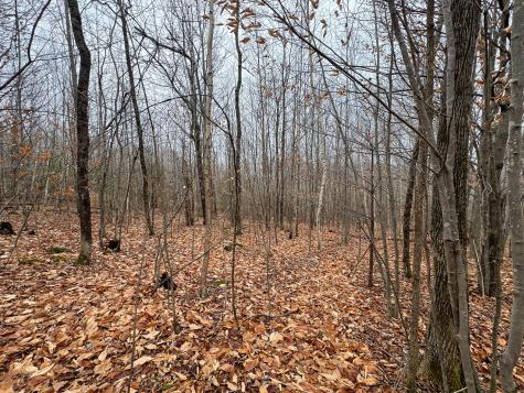 68 South Strong Road Strong ME 04983