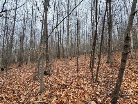 68 South Strong Road Strong ME 04983