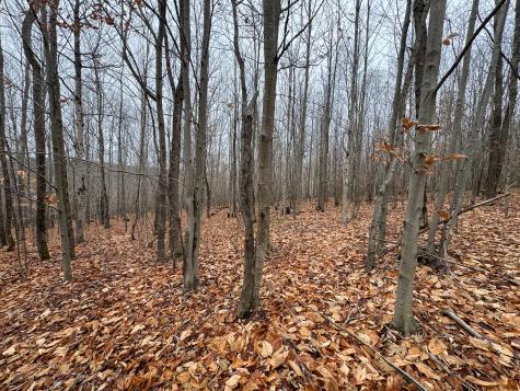 68 South Strong Road Strong ME 04983