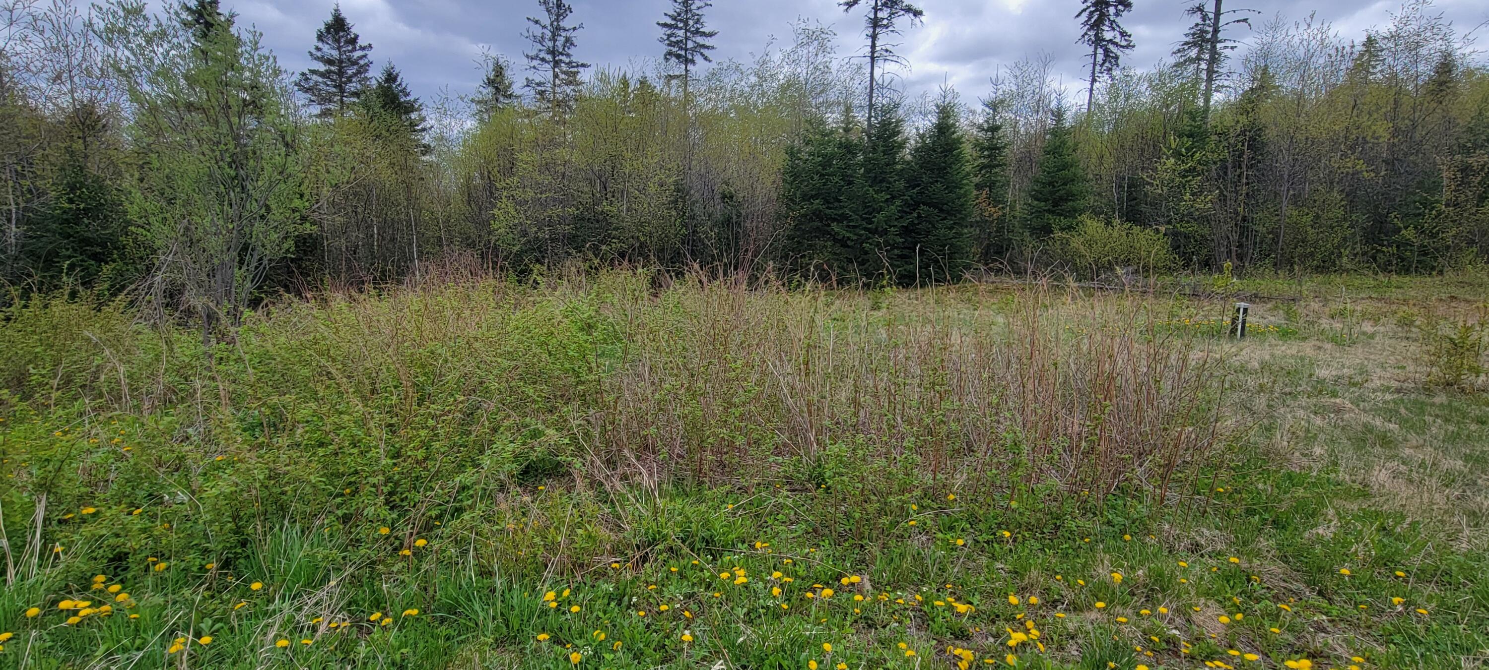 647 Gagnon Road Madawaska ME 04756