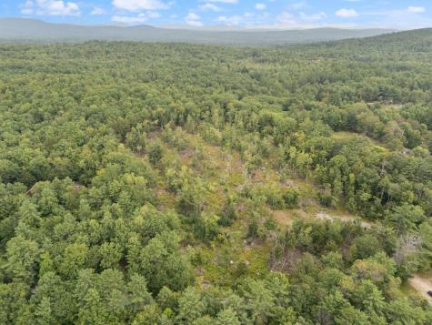 Parcel #1 Sanborn Road Newfield ME 04095