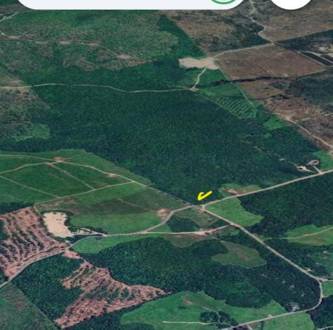 07-39a-b Tibbettstown Road Columbia Falls ME 04623