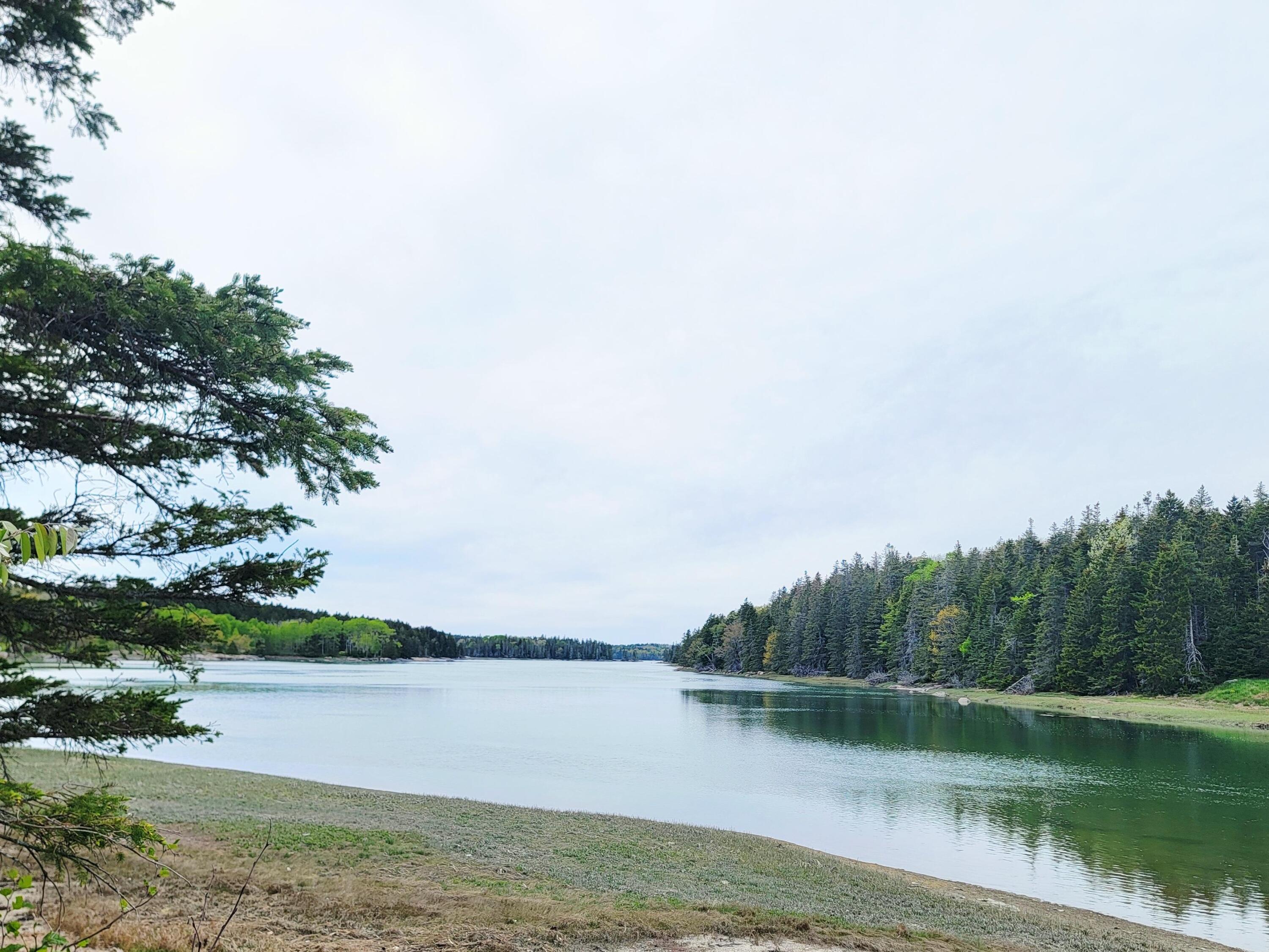 Lot # 72 Oceanville Road Stonington ME 04681