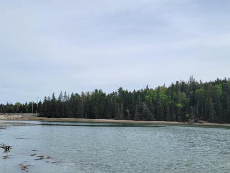 Lot # 72 Oceanville Road Stonington ME 04681