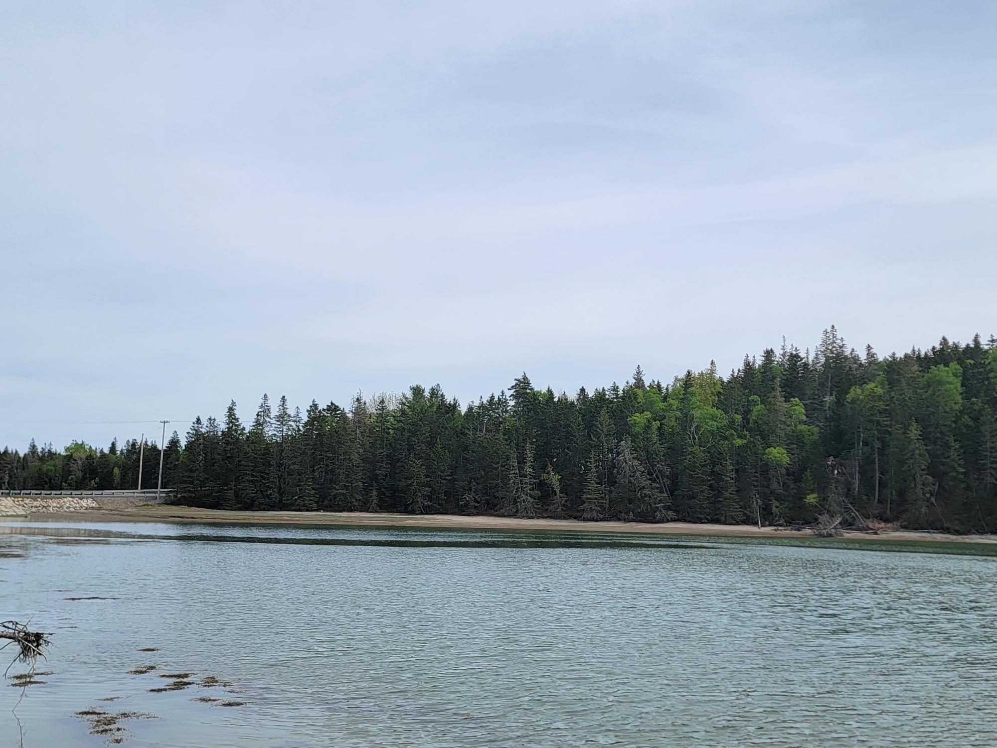 Lot # 72 Oceanville Road Stonington ME 04681