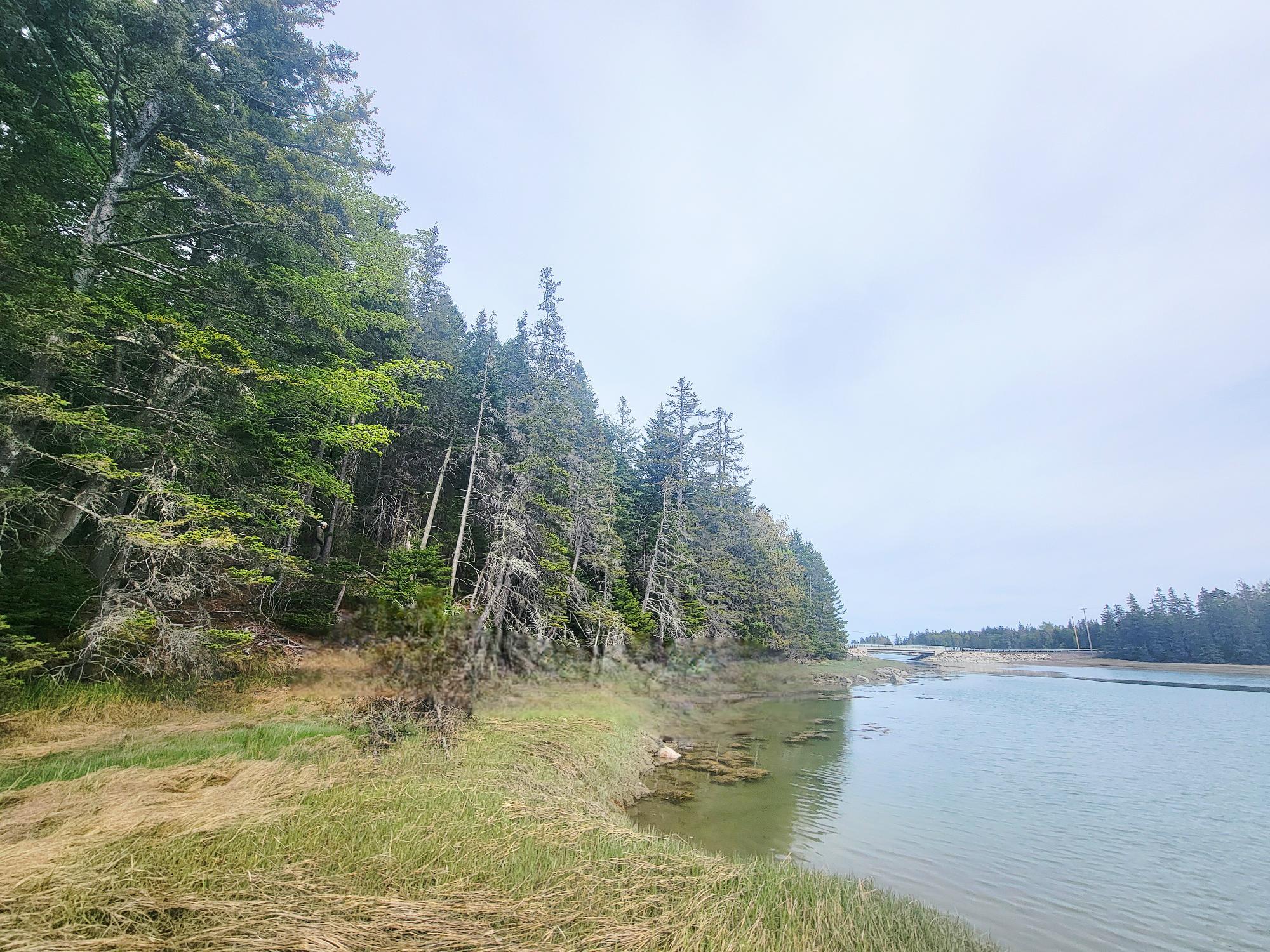 Lot # 72 Oceanville Road Stonington ME 04681