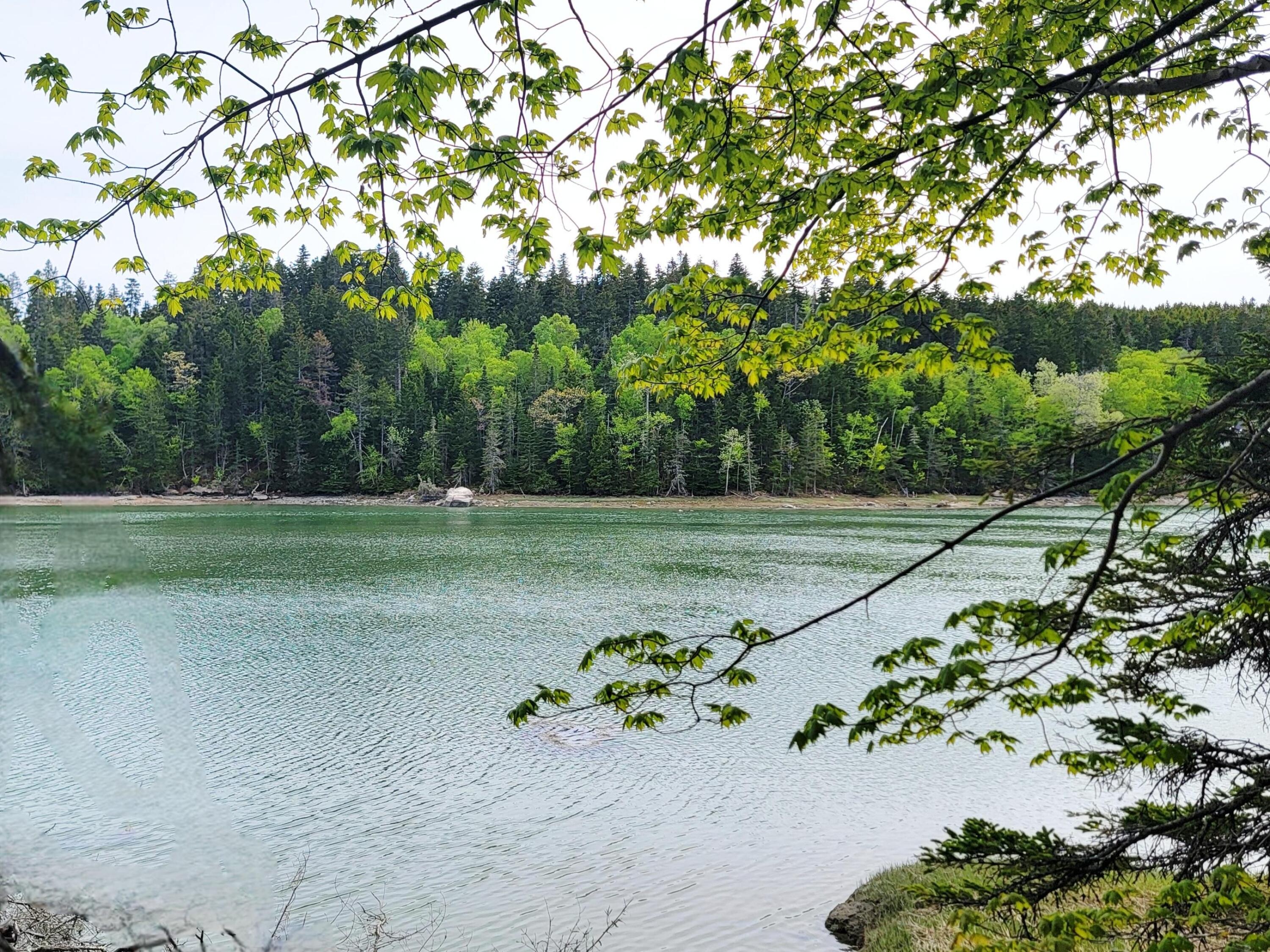 Lot # 72 Oceanville Road Stonington ME 04681