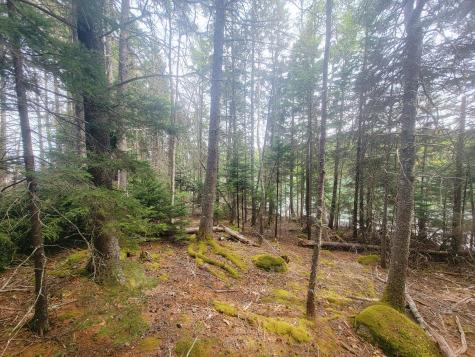 Lot # 72 Oceanville Road Stonington ME 04681