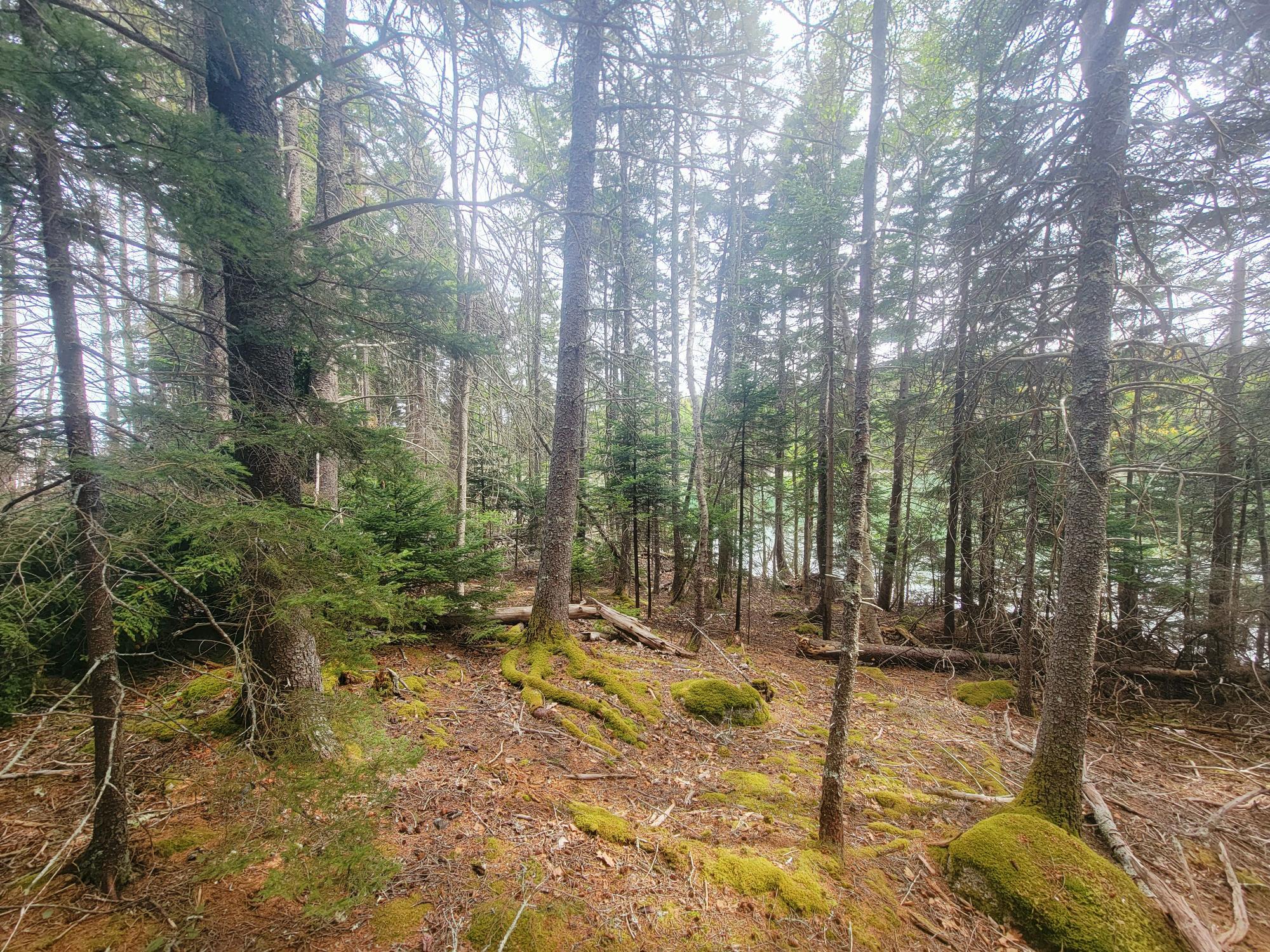 Lot # 72 Oceanville Road Stonington ME 04681
