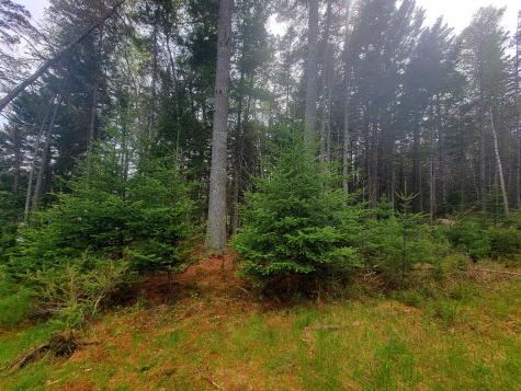 Lot # 72 Oceanville Road Stonington ME 04681