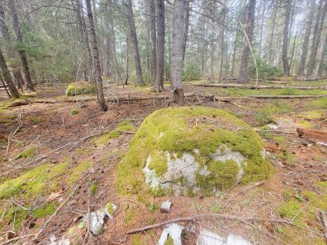 Lot # 72 Oceanville Road Stonington ME 04681